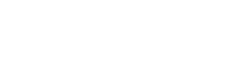 Microsoft Partner